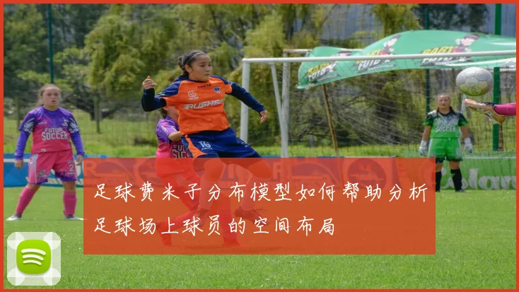 足球费米子分布模型如何帮助分析足球场上球员的空间布局